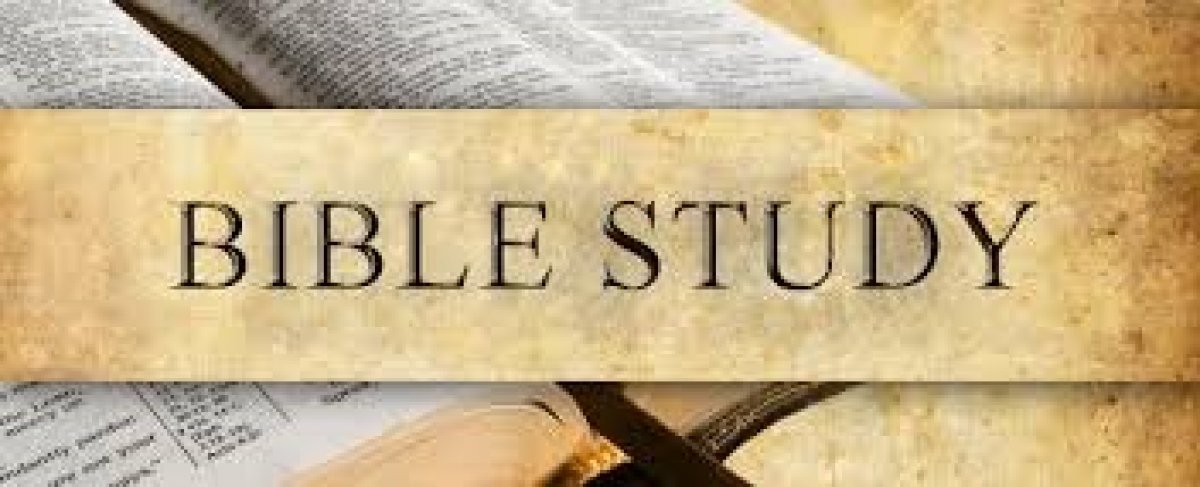 Berea Bible Study Group | HisVine